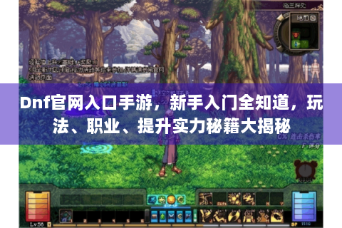Dnf官网入口手游，新手入门全知道，玩法、职业、提升实力秘籍大揭秘