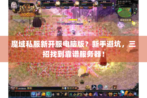 魔域私服新开服电脑版？新手避坑，三招找到靠谱服务器！