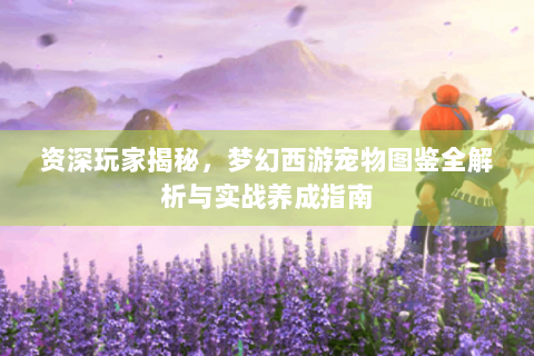 资深玩家揭秘，梦幻西游宠物图鉴全解析与实战养成指南