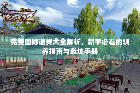 完美国际通灵犬全解析，新手必看的驯养指南与避坑手册