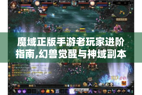 魔域正版手游老玩家进阶指南,幻兽觉醒与神域副本全解析