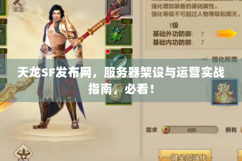 天龙SF发布网，服务器架设与运营实战指南，必看！