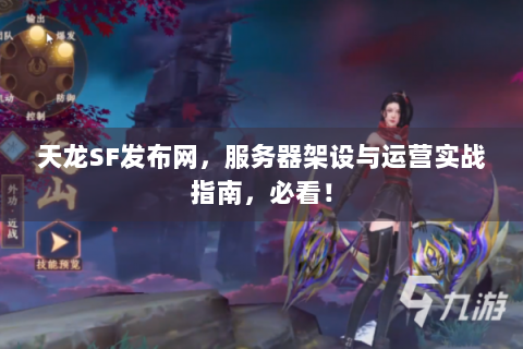 天龙SF发布网，服务器架设与运营实战指南，必看！