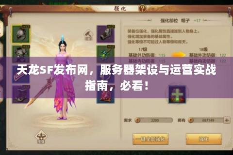 天龙SF发布网，服务器架设与运营实战指南，必看！