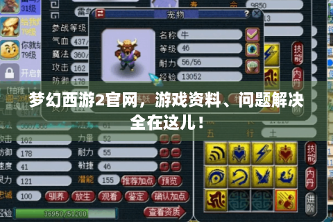 梦幻西游2官网，游戏资料、问题解决全在这儿！