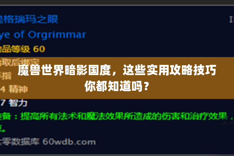 魔兽世界暗影国度，这些实用攻略技巧你都知道吗？