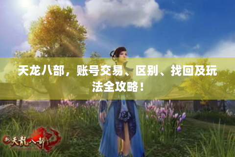 天龙八部，账号交易、区别、找回及玩法全攻略！