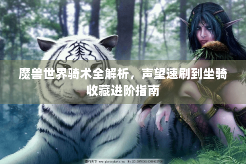 魔兽世界骑术全解析，声望速刷到坐骑收藏进阶指南