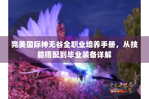 完美国际神无谷全职业培养手册，从技能搭配到毕业装备详解
