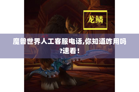 魔兽世界人工客服电话,你知道咋用吗?速看！
