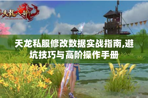 天龙私服修改数据实战指南,避坑技巧与高阶操作手册
