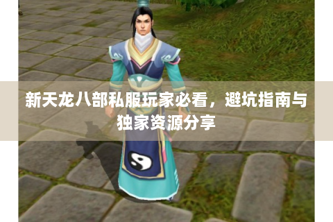 新天龙八部私服玩家必看，避坑指南与独家资源分享