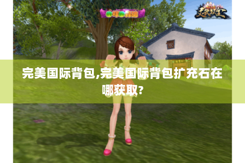 完美国际背包,完美国际背包扩充石在哪获取?