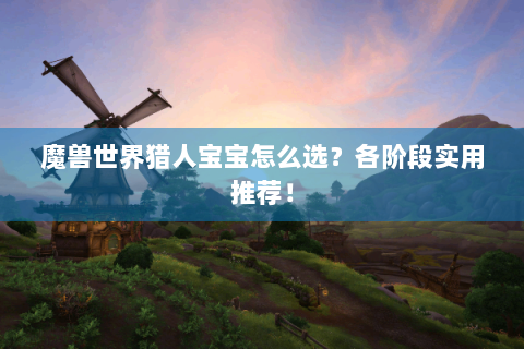 魔兽世界猎人宝宝怎么选？各阶段实用推荐！