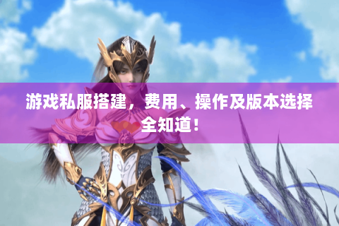 游戏私服搭建，费用、操作及版本选择全知道！