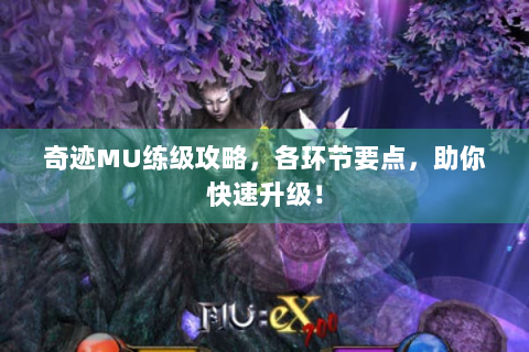 奇迹MU练级攻略，各环节要点，助你快速升级！