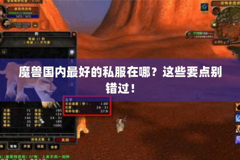 魔兽国内最好的私服在哪？这些要点别错过！
