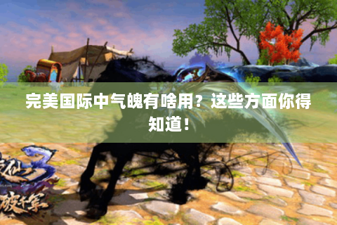 完美国际中气魄有啥用？这些方面你得知道！