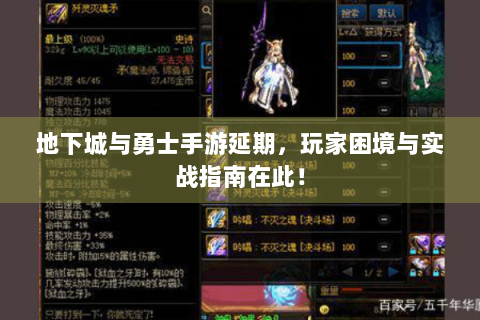 地下城与勇士手游延期，玩家困境与实战指南在此！