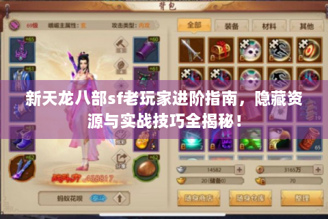 新天龙八部sf老玩家进阶指南，隐藏资源与实战技巧全揭秘！
