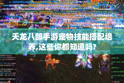 天龙八部手游宠物技能搭配培养,这些你都知道吗?