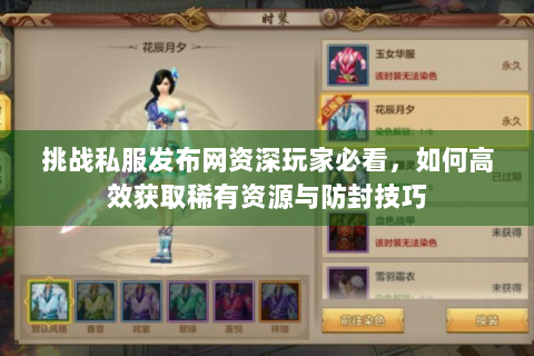 挑战私服发布网资深玩家必看，如何高效获取稀有资源与防封技巧