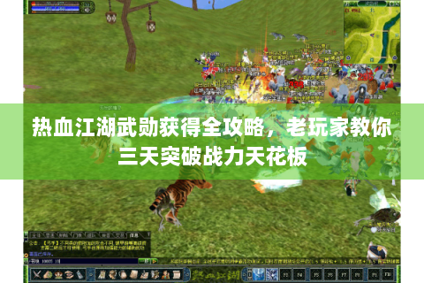 热血江湖武勋获得全攻略，老玩家教你三天突破战力天花板