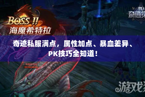 奇迹私服满点，属性加点、暴血差异、PK技巧全知道！