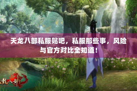 天龙八部私服贴吧，私服那些事，风险与官方对比全知道！