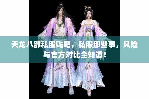 天龙八部私服贴吧，私服那些事，风险与官方对比全知道！