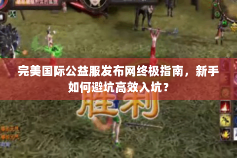 完美国际公益服发布网终极指南，新手如何避坑高效入坑？
