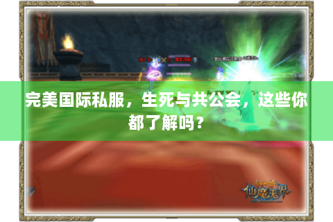完美国际私服，生死与共公会，这些你都了解吗？