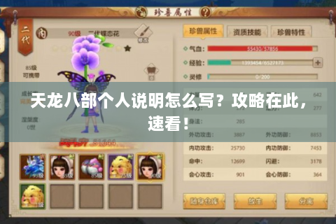 天龙八部个人说明怎么写？攻略在此，速看！