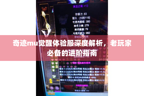 奇迹mu觉醒体验服深度解析，老玩家必备的进阶指南