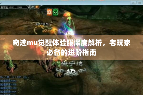 奇迹mu觉醒体验服深度解析，老玩家必备的进阶指南