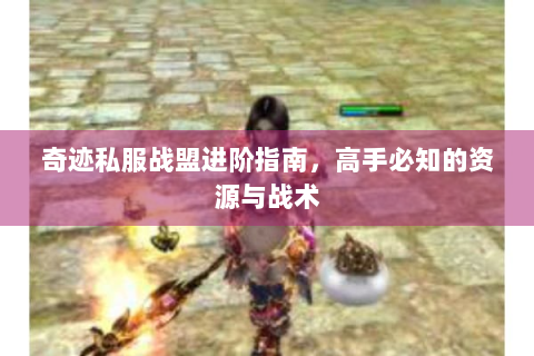 奇迹私服战盟进阶指南，高手必知的资源与战术