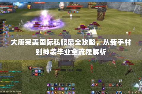 大唐完美国际私服最全攻略，从新手村到神装毕业全流程解析