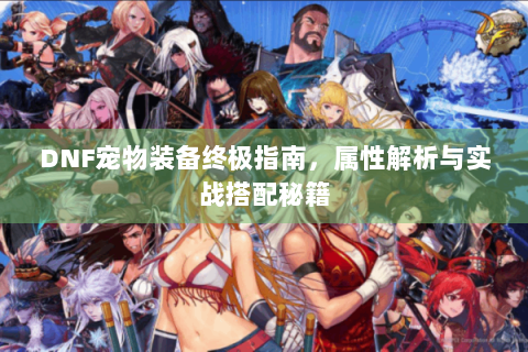DNF宠物装备终极指南，属性解析与实战搭配秘籍