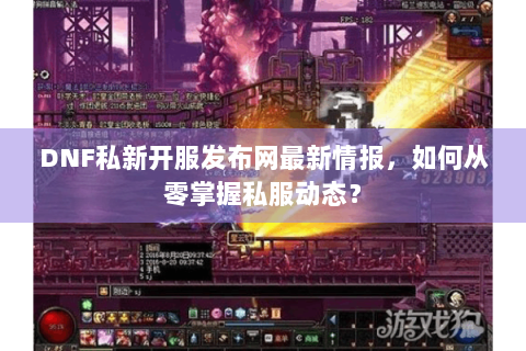 DNF私新开服发布网最新情报，如何从零掌握私服动态？