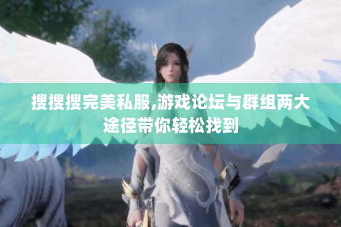 搜搜搜完美私服,游戏论坛与群组两大途径带你轻松找到