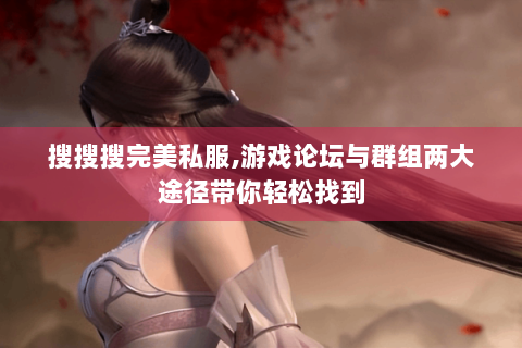 搜搜搜完美私服,游戏论坛与群组两大途径带你轻松找到