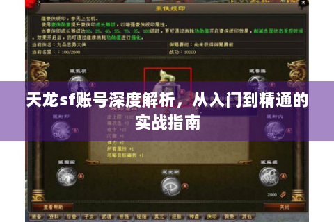 天龙sf账号深度解析，从入门到精通的实战指南