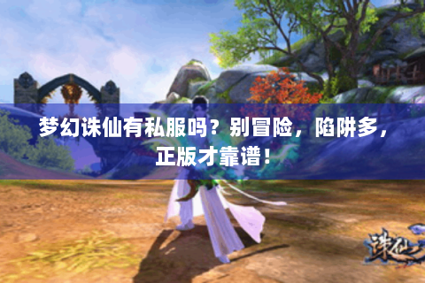 梦幻诛仙有私服吗？别冒险，陷阱多，正版才靠谱！