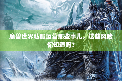 魔兽世界私服运营那些事儿，这些风险你知道吗？