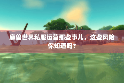 魔兽世界私服运营那些事儿，这些风险你知道吗？