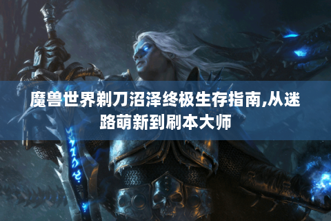 魔兽世界剃刀沼泽终极生存指南,从迷路萌新到刷本大师