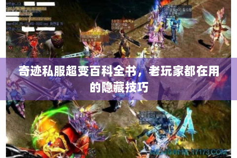 奇迹私服超变百科全书，老玩家都在用的隐藏技巧