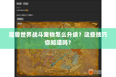 魔兽世界战斗宠物怎么升级？这些技巧你知道吗？