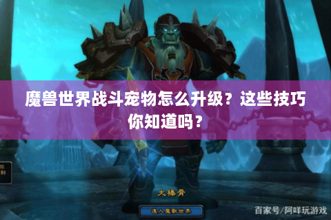魔兽世界战斗宠物怎么升级？这些技巧你知道吗？