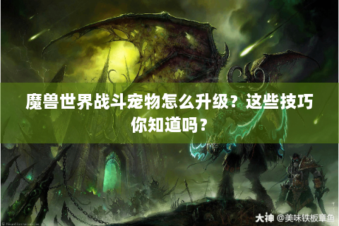 魔兽世界战斗宠物怎么升级？这些技巧你知道吗？